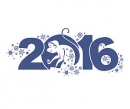 Rok Opice - čínský horoskop 2016