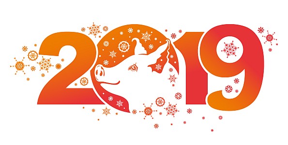 Rok Vepře - čínský horoskop 2019