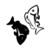 Ryba