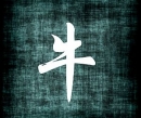 Byvol - čínsky horoskop 2011