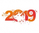 Rok Prasaťa - čínsky horoskop 2019