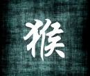 Opica - čínsky horoskop 2011