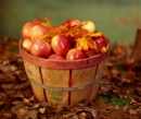 Význam jabĺk v holistickej medicíne