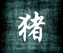 Prasa - čínsky horoskop 2011