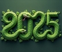 Rok Hada - čínsky horoskop 2025