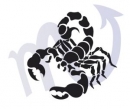 Škorpión - charakteristika znamenia