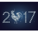 Rok Kohouta - čínský horoskop 2017
