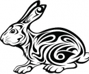 Rok 2011 - rok bieleho Zajaca