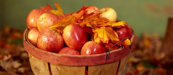 Význam jabĺk v holistickej medicíne